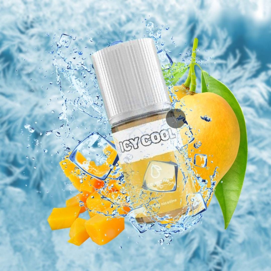 Liquid Saltnic Icy Cool 30ML Authentic By Vape Dojo