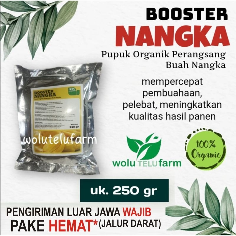 pupuk organik booster nangka, perangsang buah, serbuk 250 gr