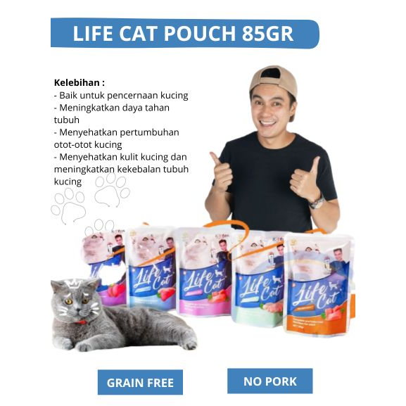 Makanan Kucing LIFE CAT pouch 85g