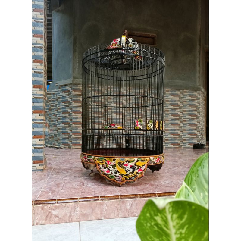 sangkar murai ukir cat airbras d58