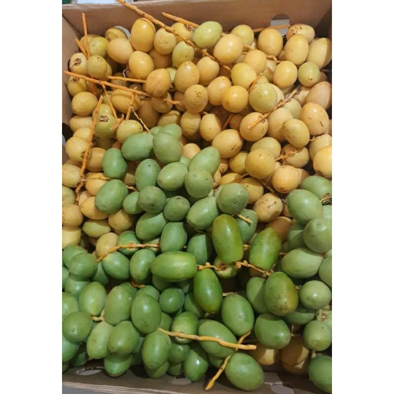 

JUNI JULI 23 (TIDAK COD) ORDERAN BARU KURMA MUDA KUNING 250GR