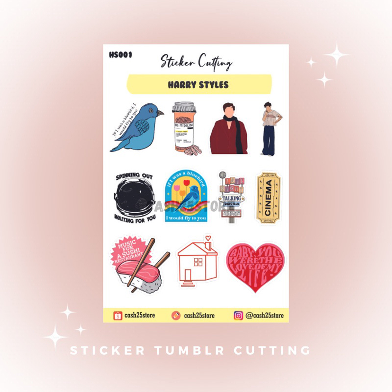

HARRY STYLES CUTTING STICKER PACK
