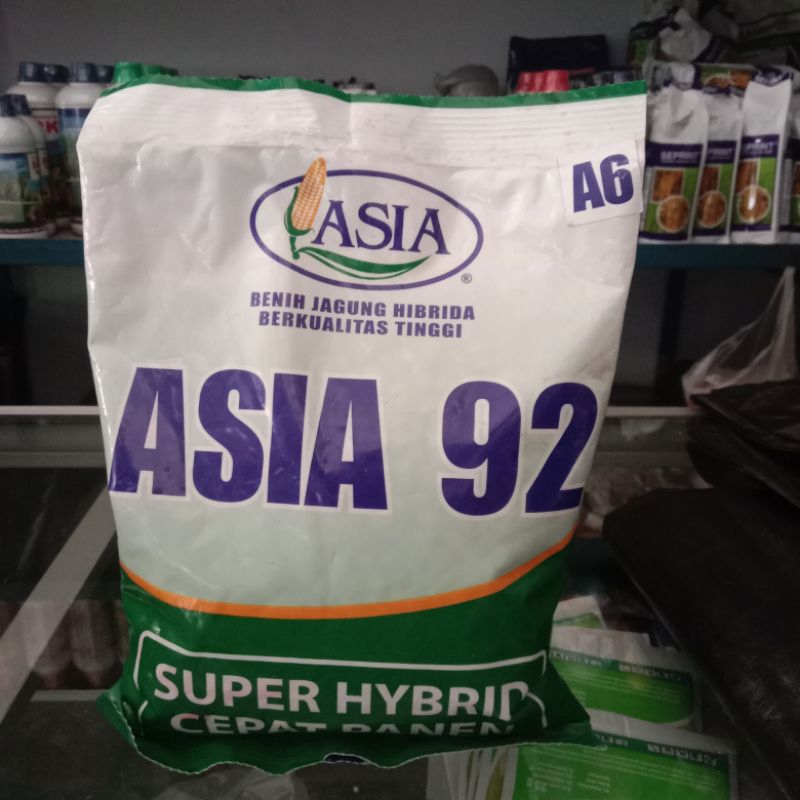 ASIA 92/benih jagung hibrida/benih jagung umur pendek/benih jagung panen cepat