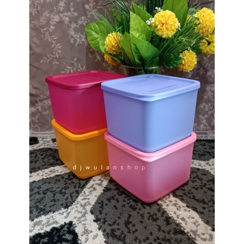 toples Tupperware Medium summer/ Medium tropical fiesta