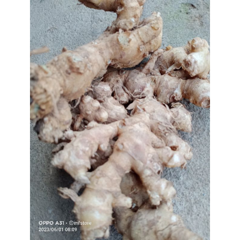 

JAHE MERAH DAN JAHE EMPRIT 1KG