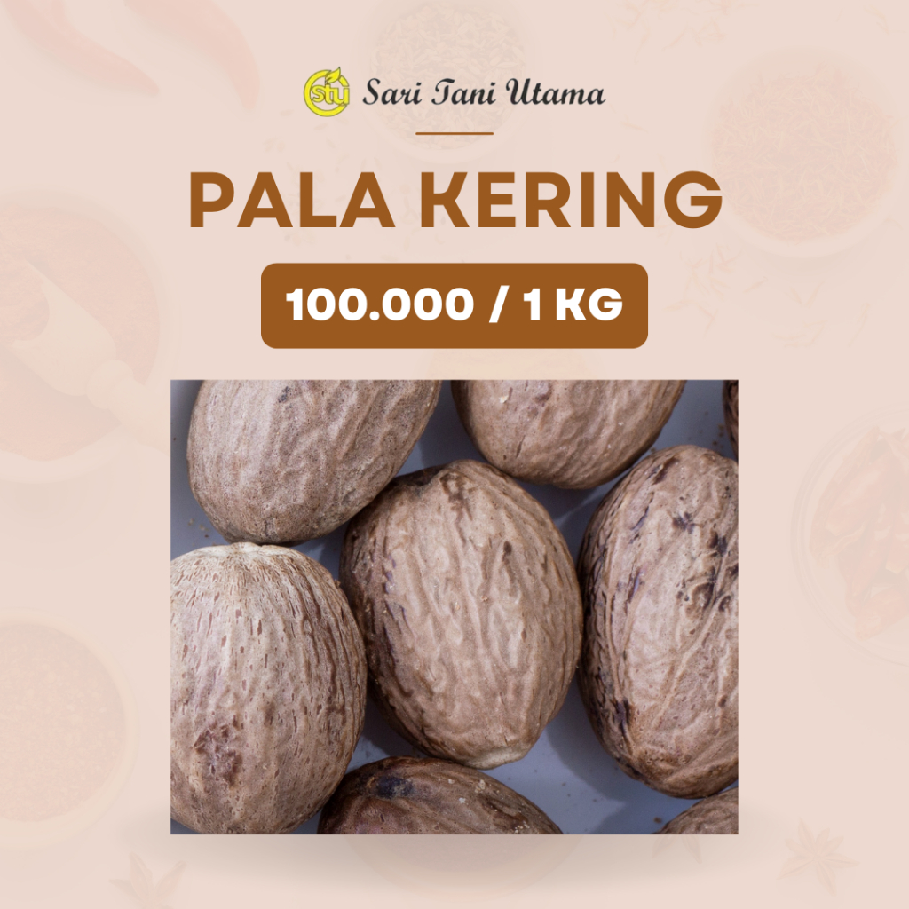 

Pala Kering Belum Kupas dan Kupas 1Kg Rempah Asli