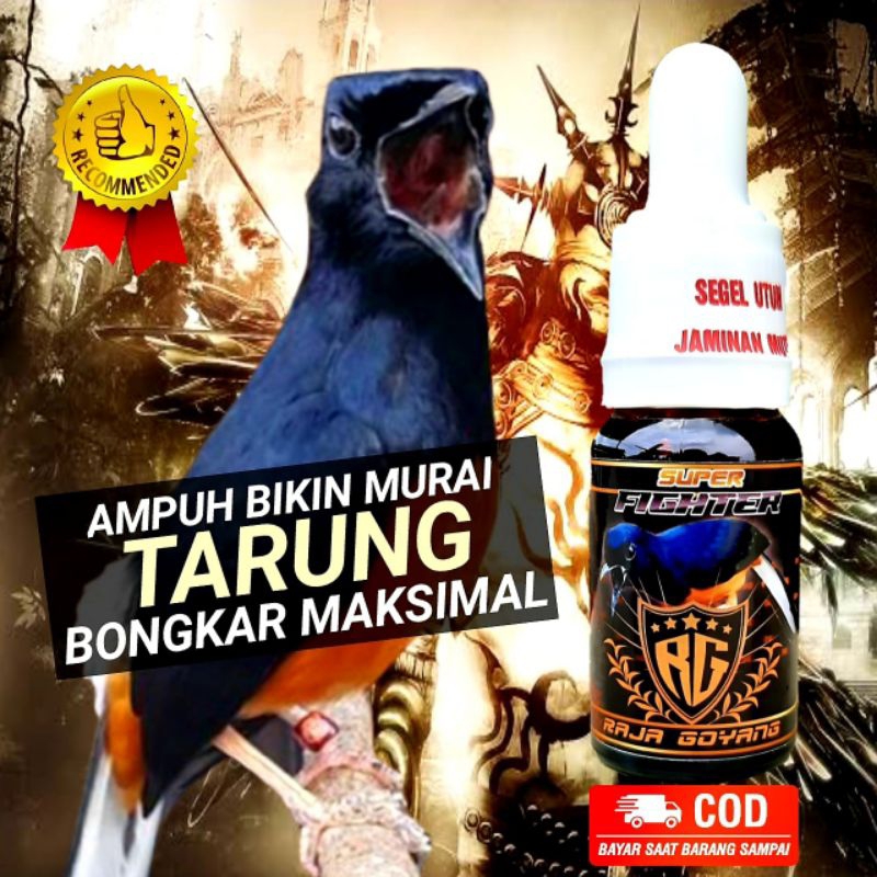 SUPER FIGTHER RG/DOPING BURUNG MURAI/VITAMIN BURUNG MURAI