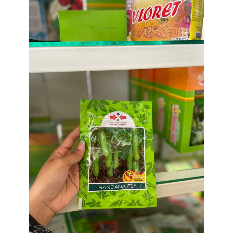 Benih Timun Sayur Bandana F1/ Bibit Timun