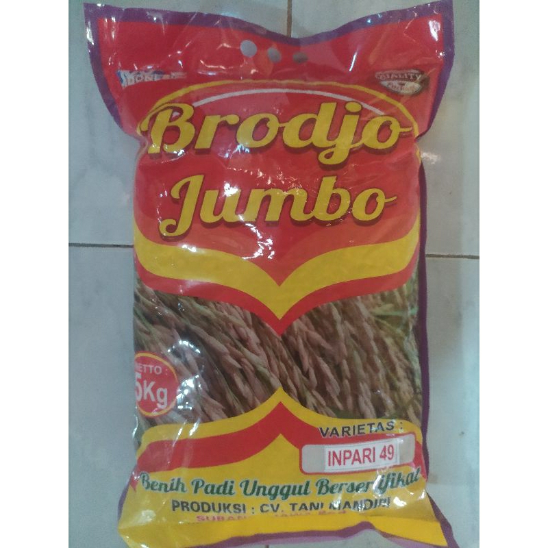benih padi unggul terbaru INPARI 49 JEMBAR label ungu 5 kg