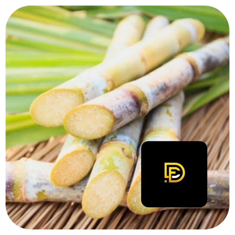 

Tebu hijau batang tebu hijau segar 1 kg-az