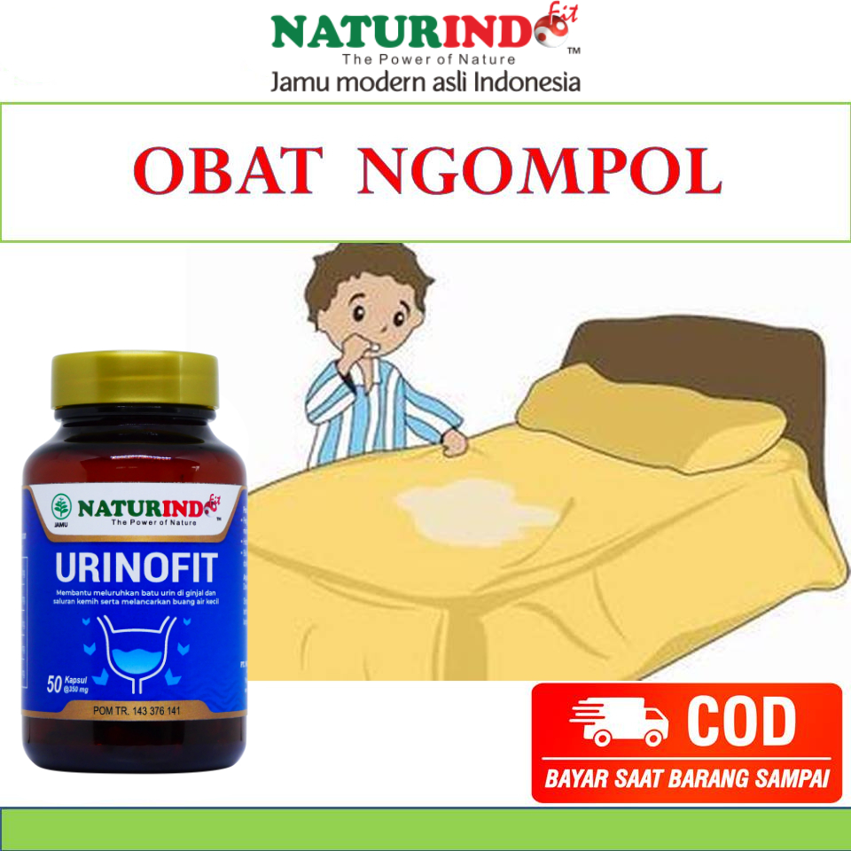 Urinofit Naturindo Obat Ngompol Beser Infeksi Saluran Kemih Batu Ginjal Herbal