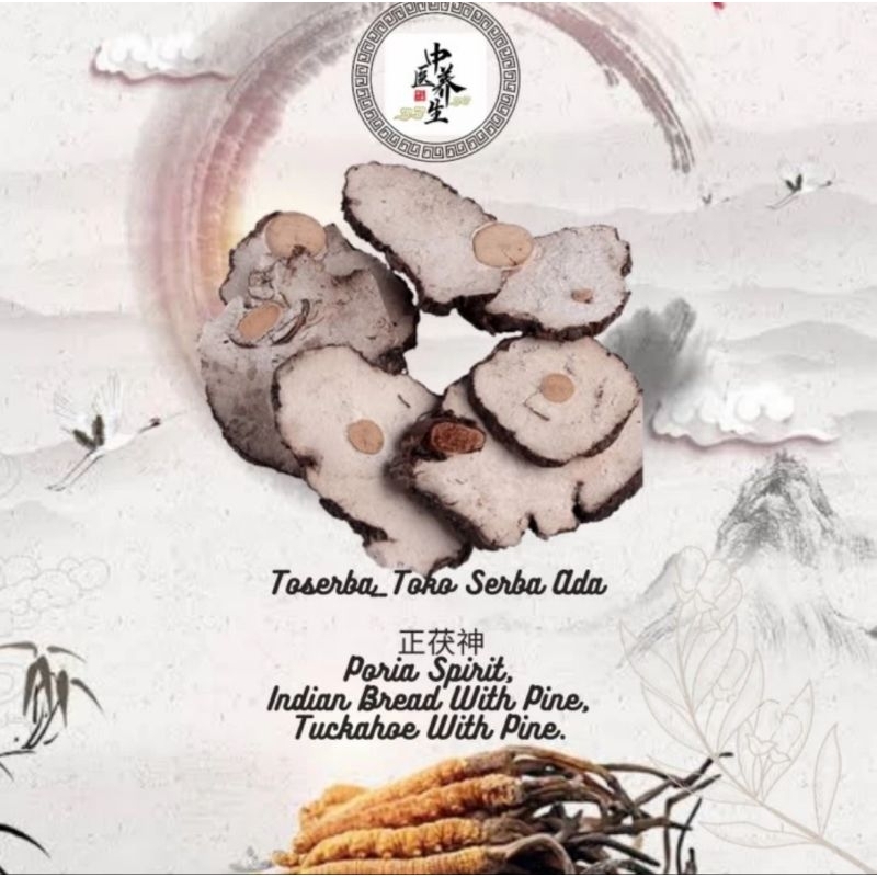 

100gr Herbal Zheng Fu Shen 正茯神 Poria Cum Radix Pini Grade A