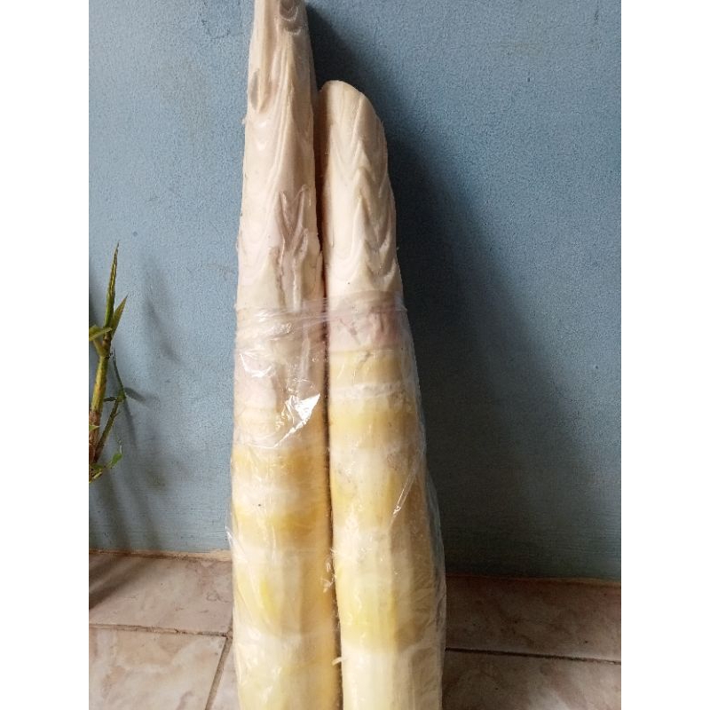 

Rebung bambu sayur 1kg