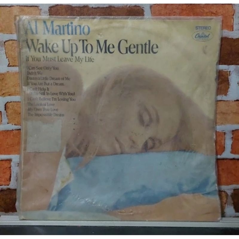 Vinyl Piringan Hitam 12 inch Wake Up To Me Gentle