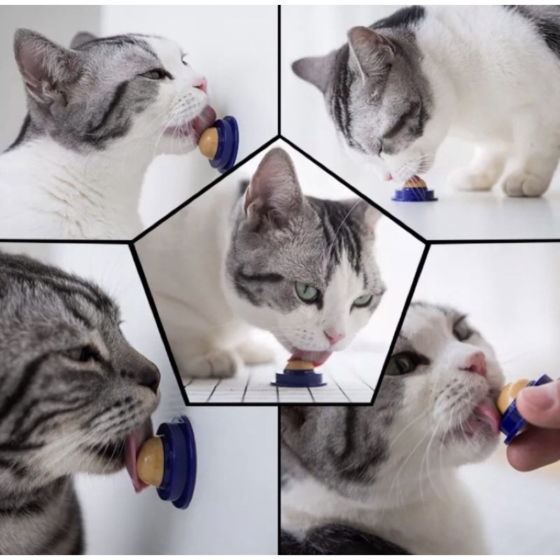 Mainan Kucing Bola Catnip Rotating Catnip Ball Catnip Kucing Anti Stress Catnip Ball Bola Catnip Rotating Catnip Ball Snack Kucing