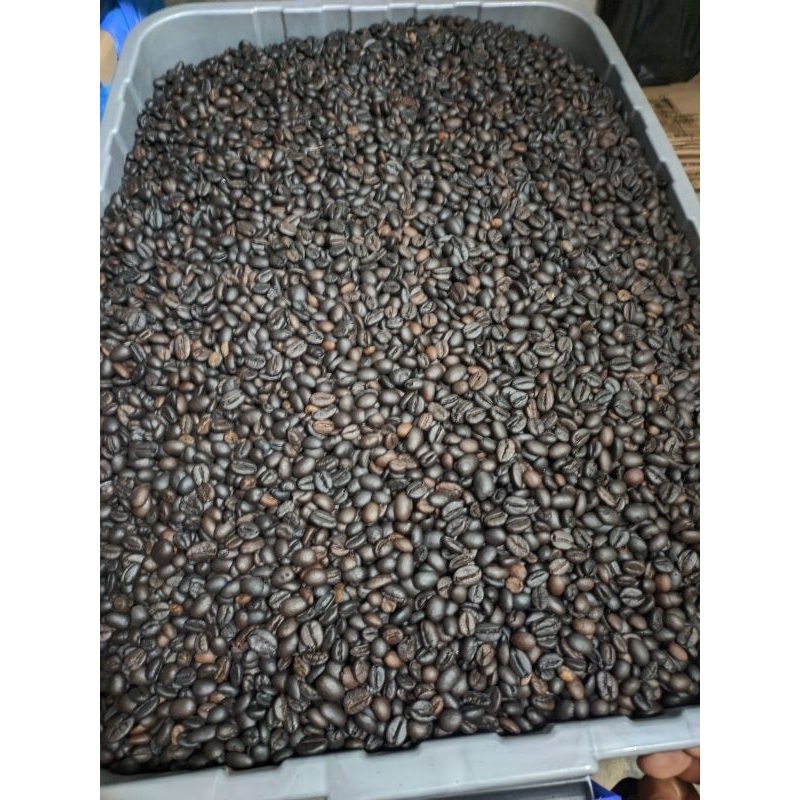 

Biji Kopi Siap Roasting