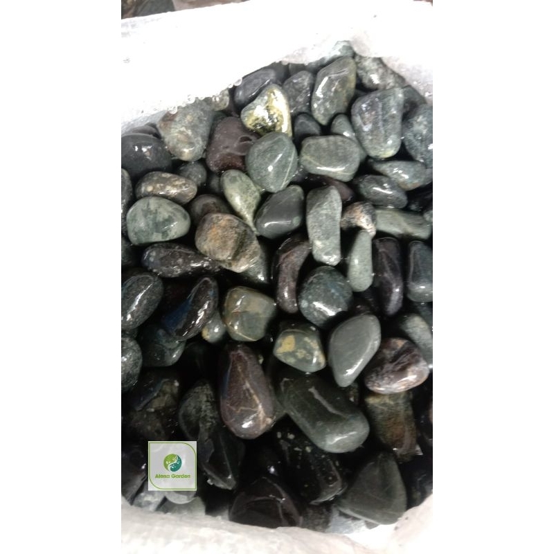 BATU KORAL HITAM BENGKULU HIASAN TANAMAN 10KG