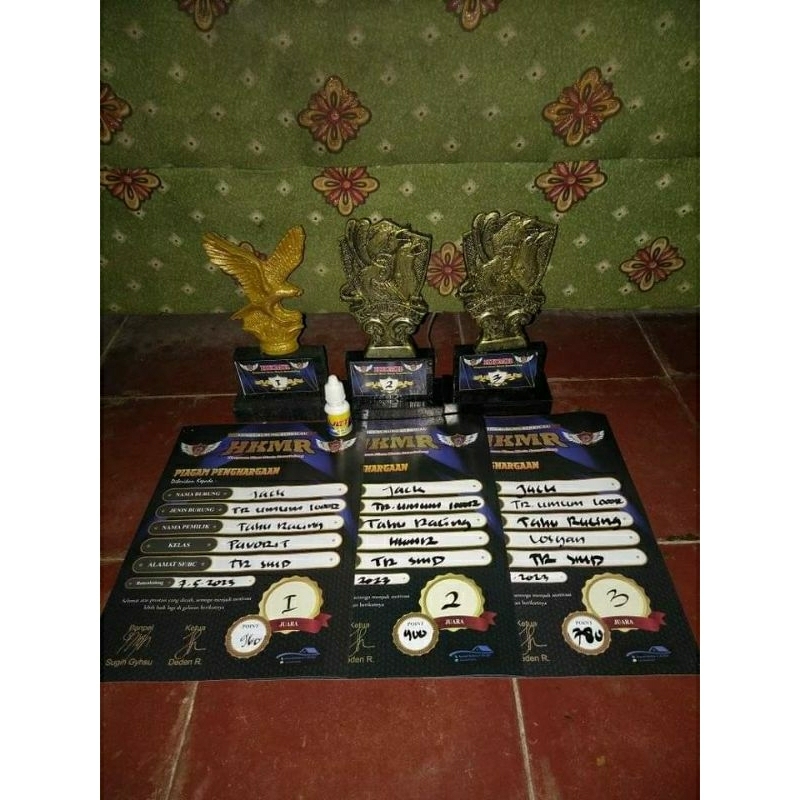 doping lomba burung trucuk