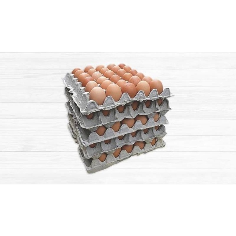 

Telur Horen harga Grosir *termasuk tray* (pembelian diatas 5kg)-khusus Grab/Gojek