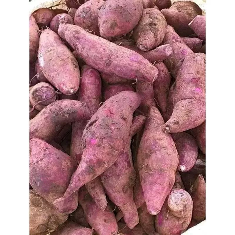 

Ketela ungu/ubi ungu/tela ungu/1kg