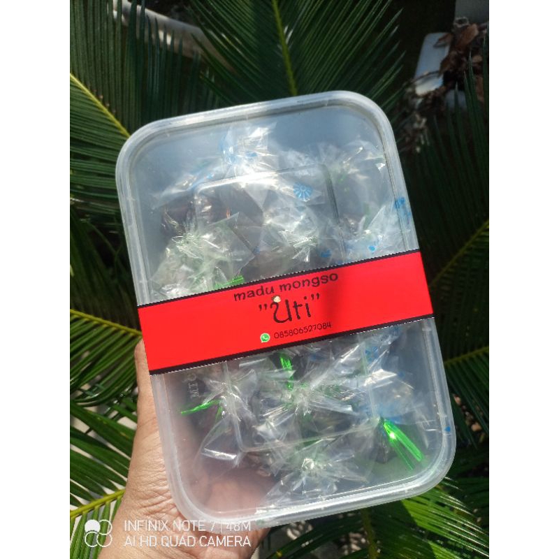 

Madu Mongso Kediri 500 gram