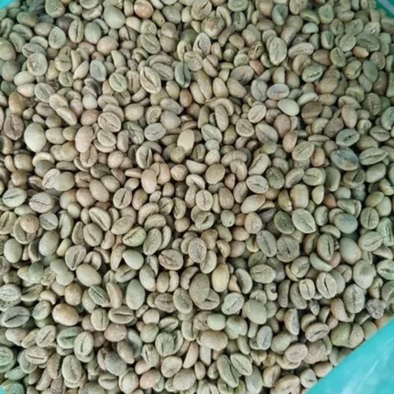 Biji kopi green Bean Robusta 1kg grade A