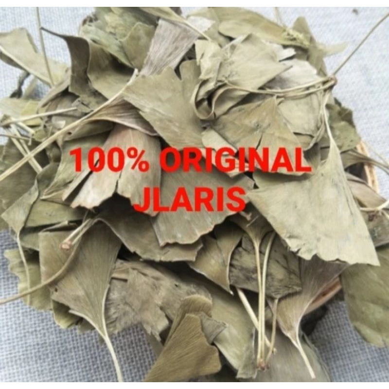 

Gingko Gingo Giloba Ginkgo biloba leaf Ginkgo Daun Pat ko Herbal 50gr