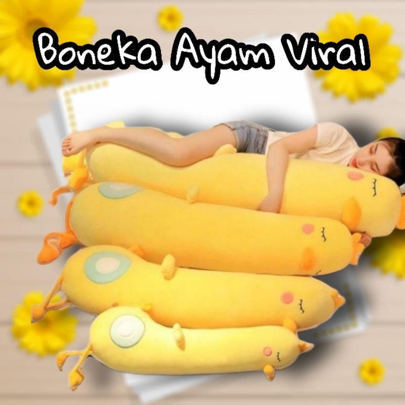 Guling Ayam Jumbo  VIRAL