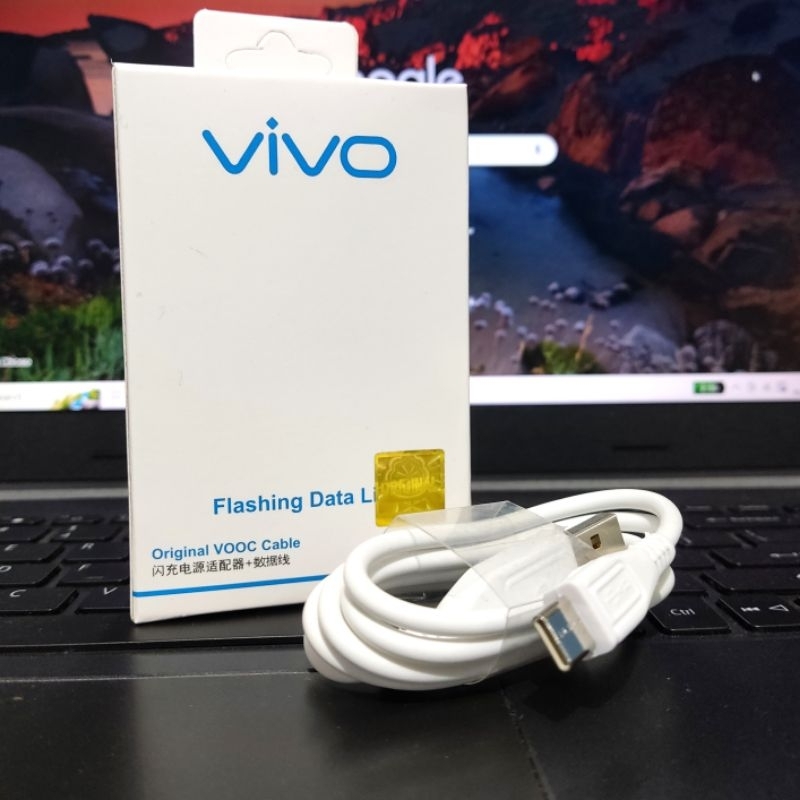 KABEL DATA TYPE C VIVO  2.A FAST CHARGING ~ Vivo Y21 Y30 Y31 Y33 Y50