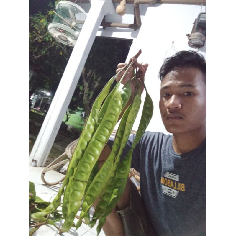 peket hemat pete super isi 50 papan