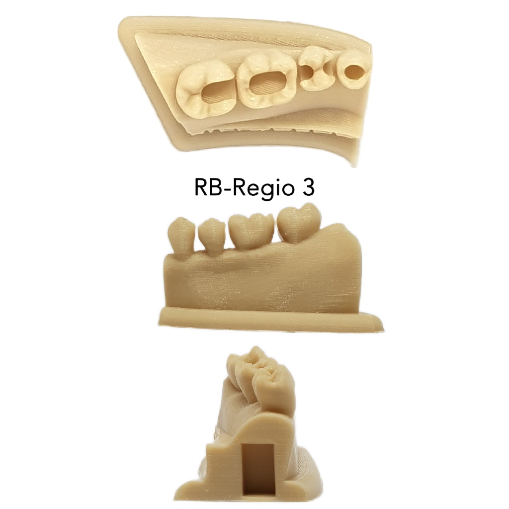 Model latihan tambal gigi hands on restorasi model gigi bolong model konservasi model tambal gigi