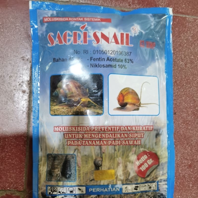 sagri snail