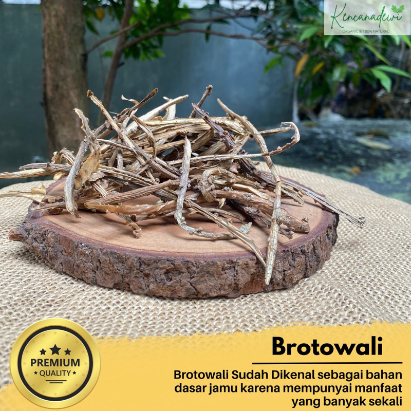 

Brotowali kering asli 100gram