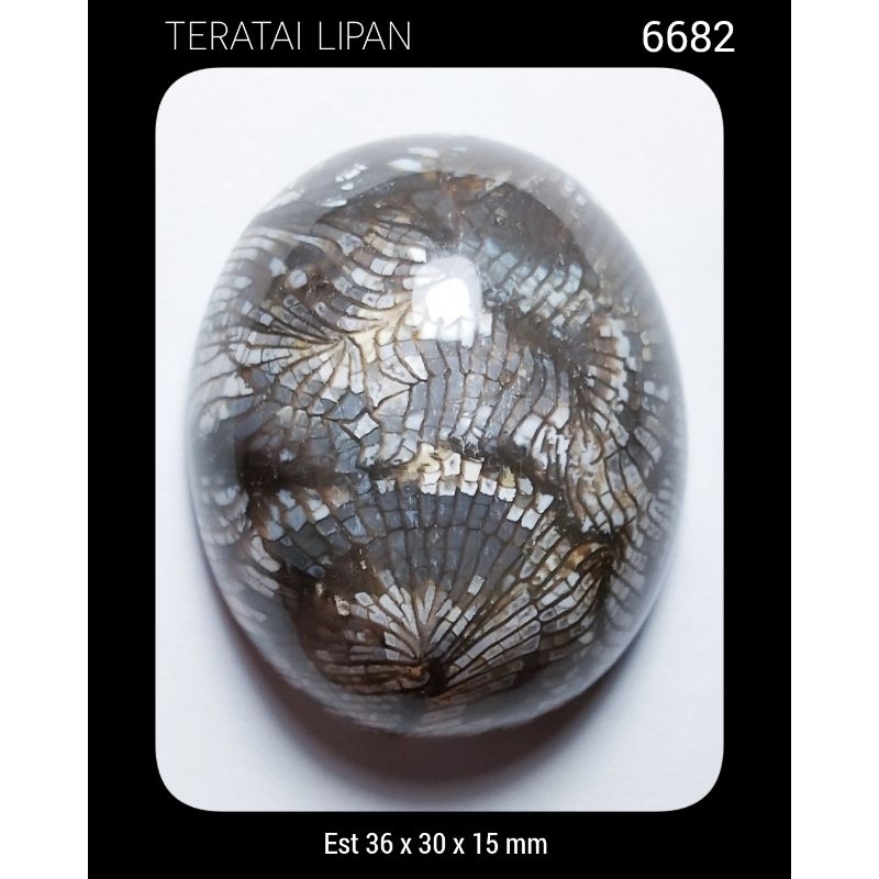 6682 Batu Teratai Lipan