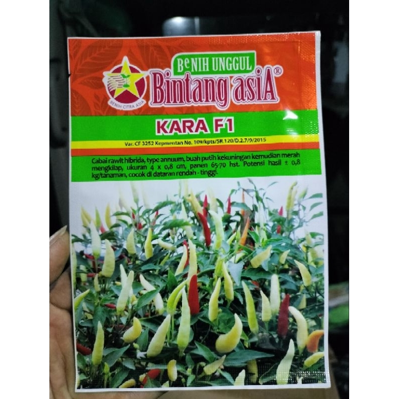 Cabe Kara f1 Cabe Rawit Hibrida 10gr Umur Genjah