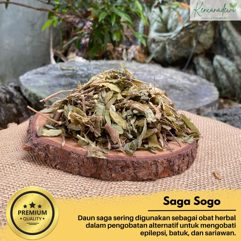

Daun saga kering herbal - Abrus precatorius 100gram - 1kg