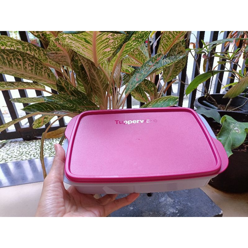 Devided Lunch Box / Cool Teen Tupperware