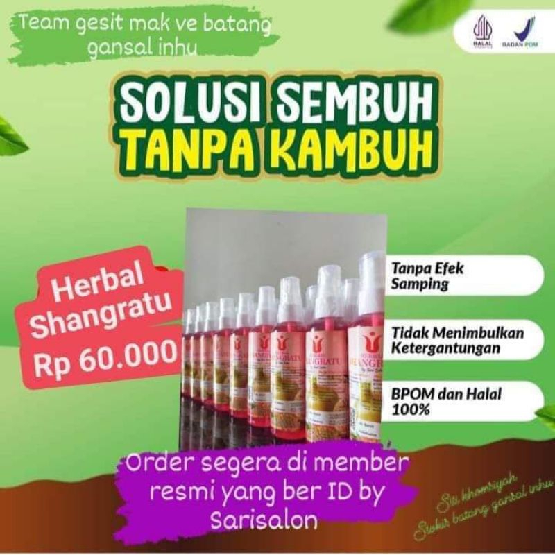 PAKET USAHA HERBAL SHANGRATU BPOM 10 BOTOL