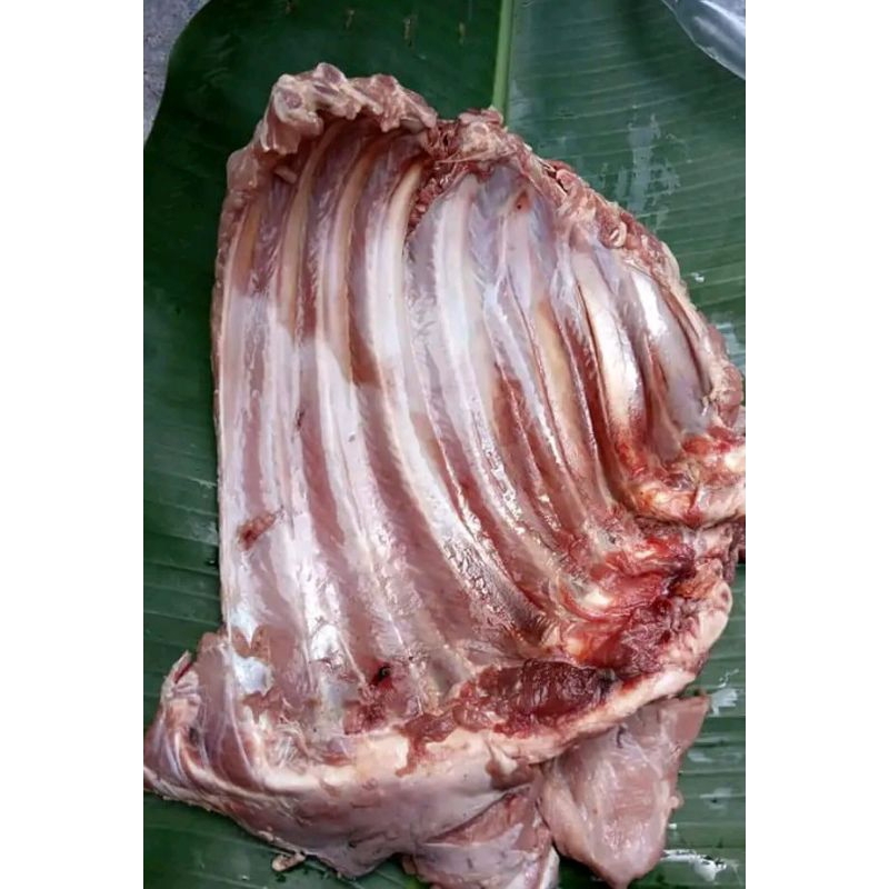 Iga babi hutan/celeng segar 1kg