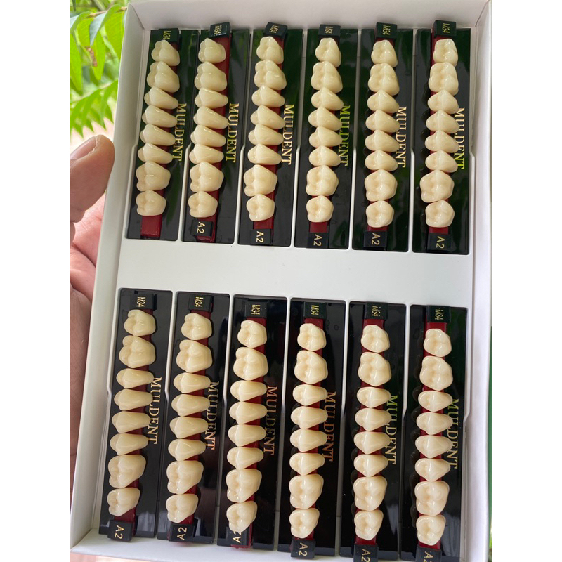 GIGI MULDENT GERAHAM 1BOX ISI 12 PAPAN