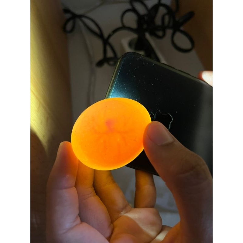 

Telur Fertil Ayam Laga