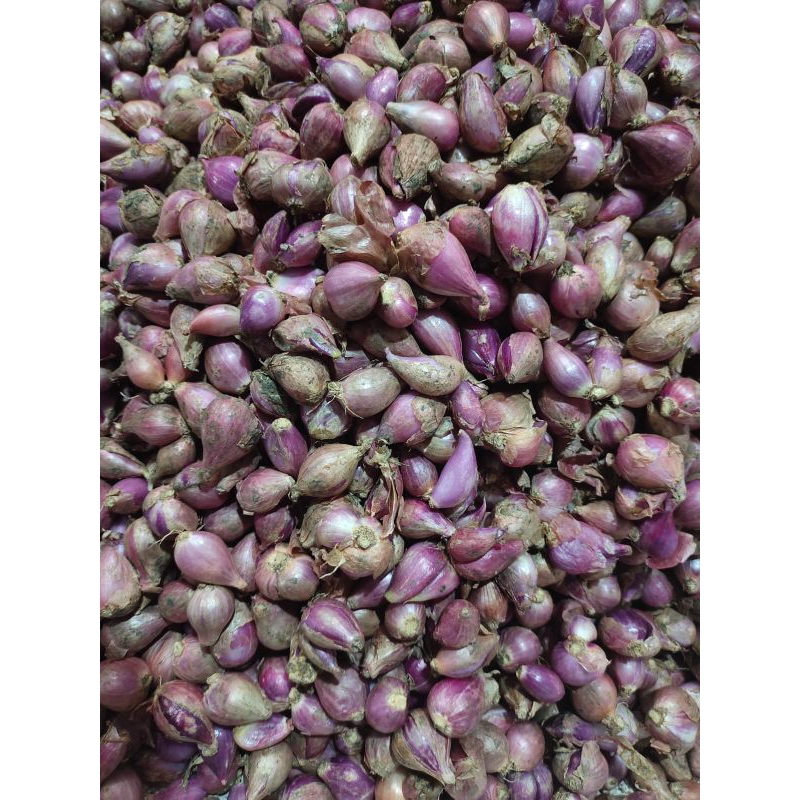 

Bawang merah murah 100gram - 500gram