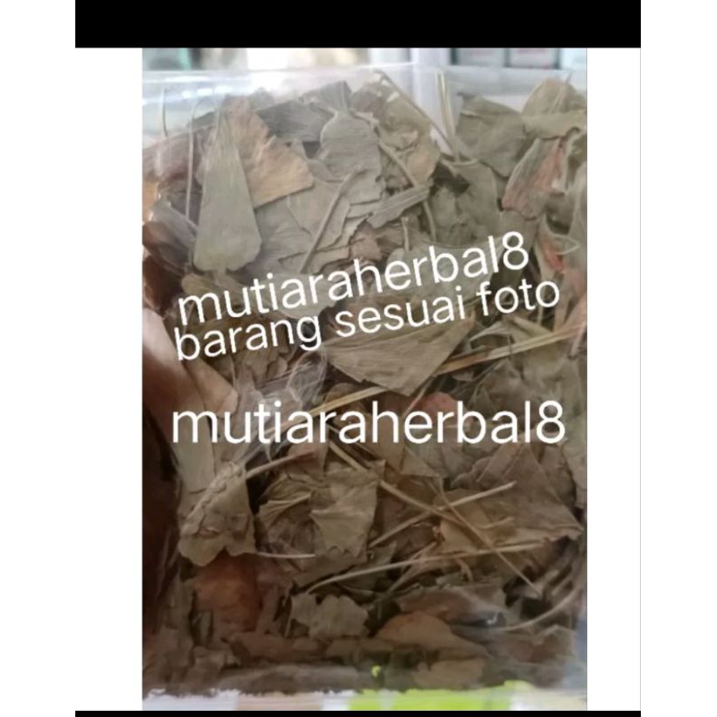 

Gingko Gingo Giloba Ginkgo biloba leaf Ginkgo Daun Pat ko Herbal 500gr