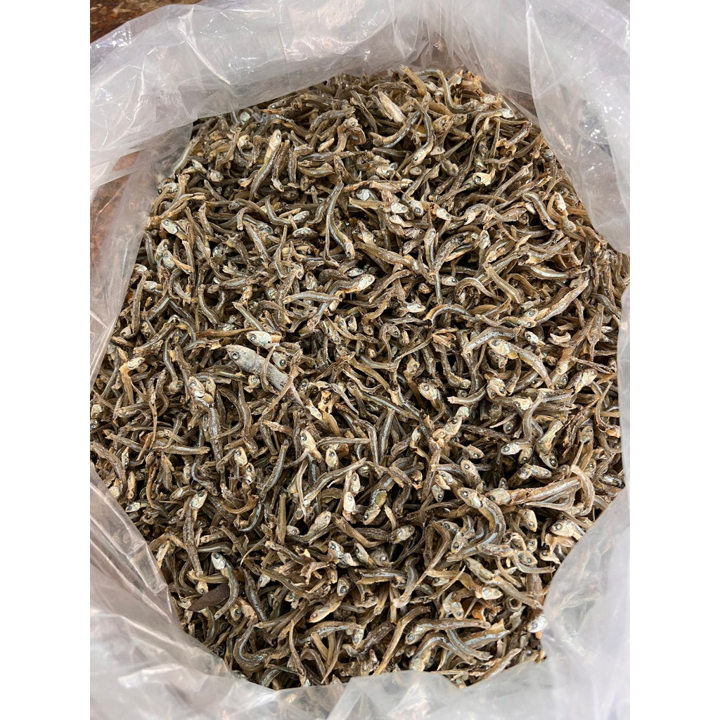 

Ikan Teri - Bilis Tanjung Pinang Hijau 250 Gr