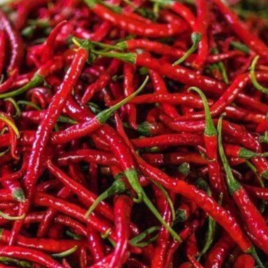 

Cabe / Cabai Merah Keriting 500 gr