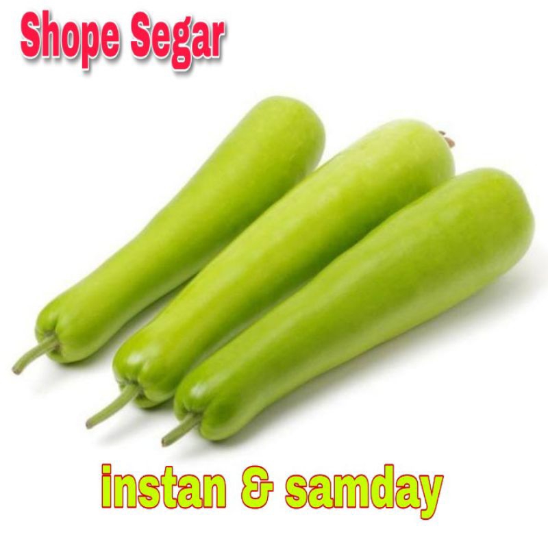 

Labu Air Segar 1 Lonjor Utuh