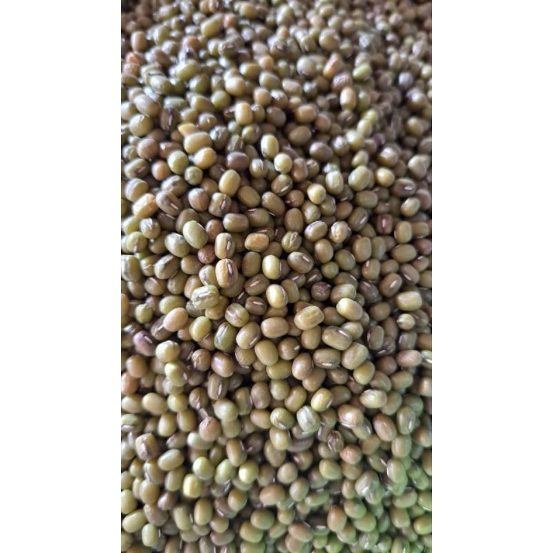 

Kacang Hijau /250g