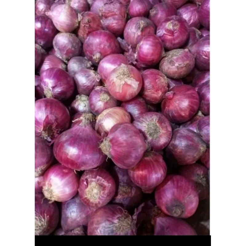 

bawang merah brebes asli