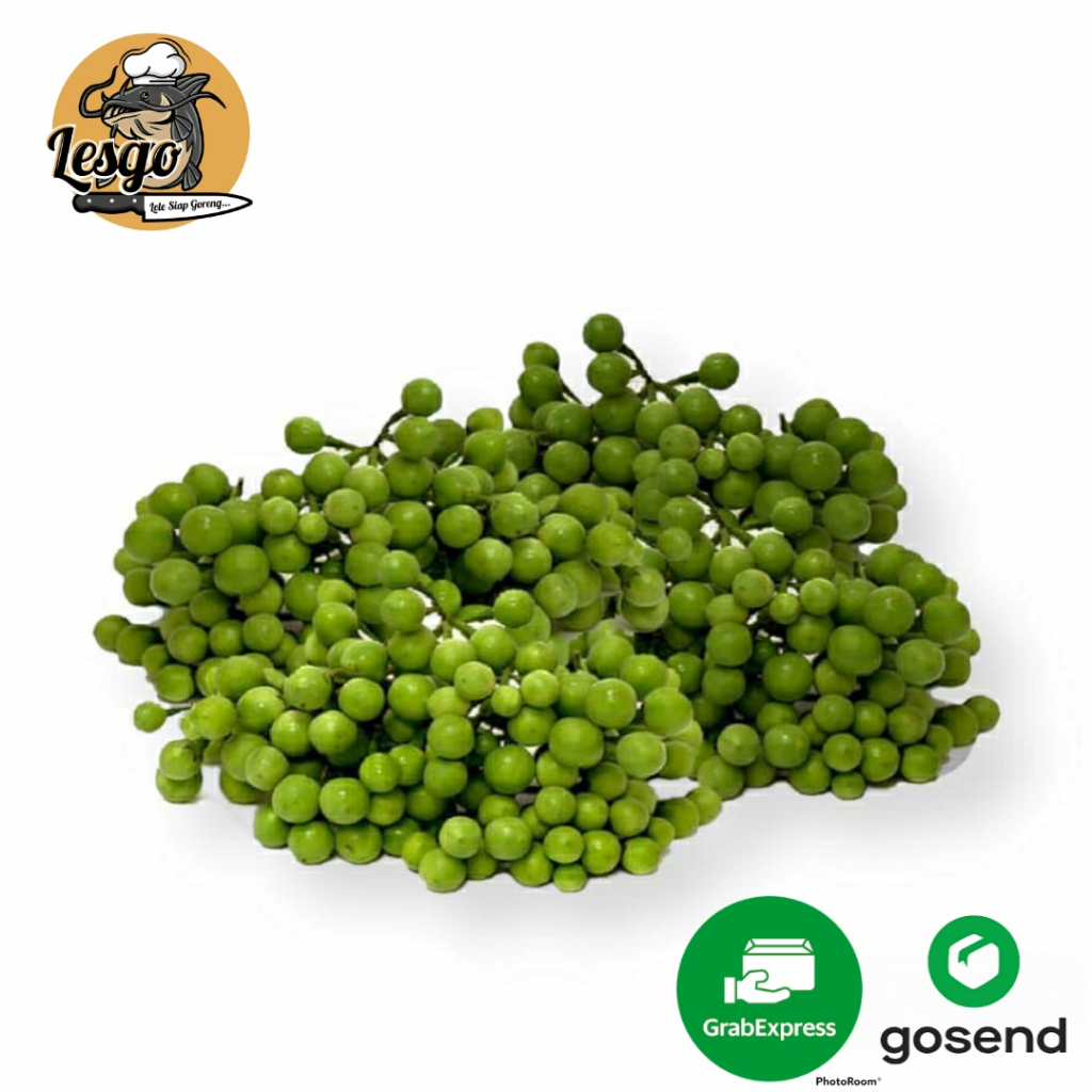 

Leunca - [250gr] Sayuran Segar Lesgo99