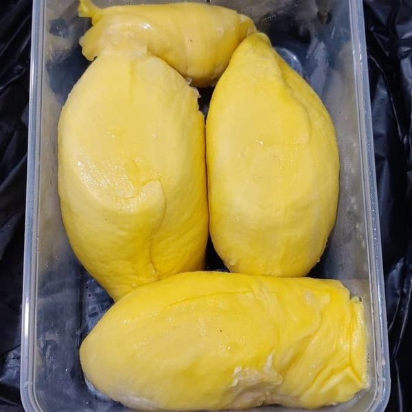 Frozen Durian Monthong Palu Belah Doeren